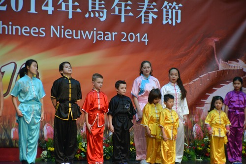 Demo Chinese nieuw jaar Den Haag