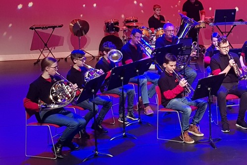 Spelende kinderen op instrument