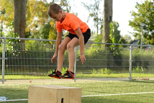 Box Jump